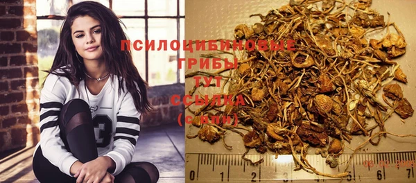 гидропоника Верхний Тагил