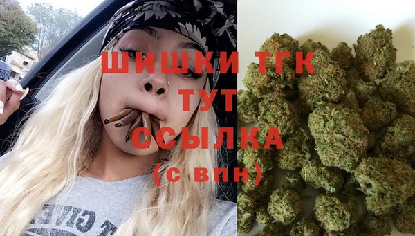 спайс Бородино