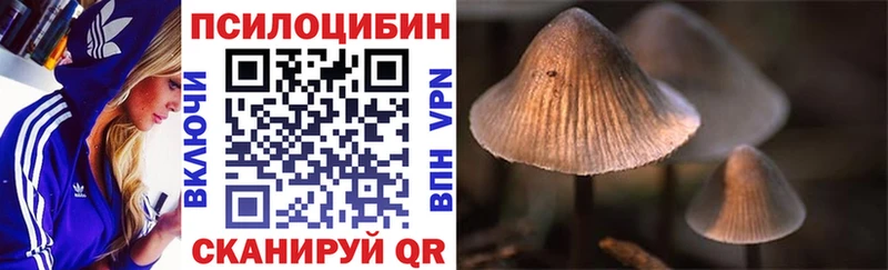 hydra ONION  как найти закладки  Губкин  Псилоцибиновые грибы Psilocybe 